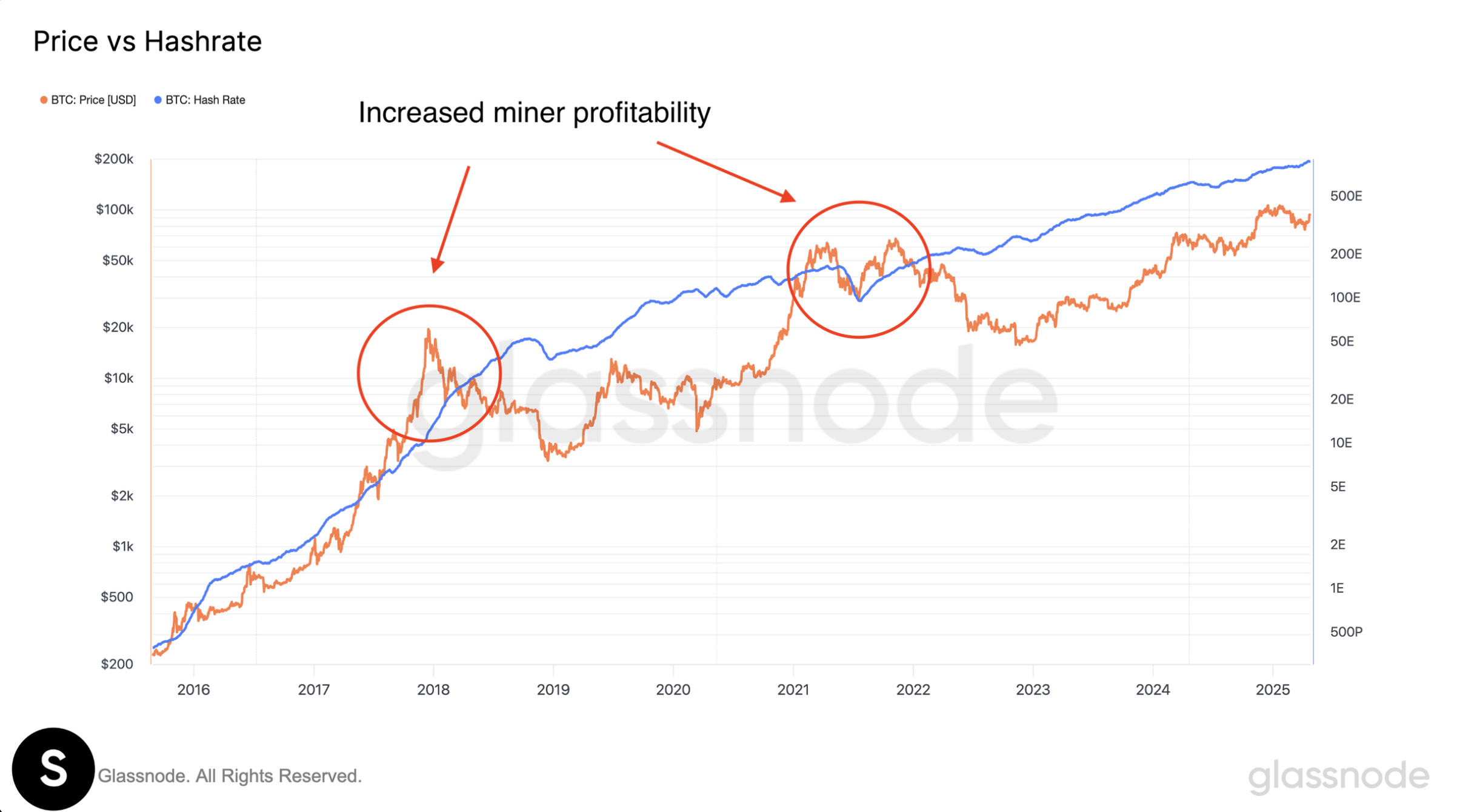 Bitcoin Price vs Bitcoin Hashrate